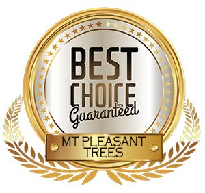 Best Choice Guarantee Medal Mt Pleasant