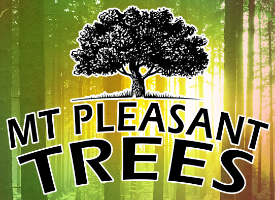 Mt Pleasant Trees and Charleston South Carolina Service Provider Badge